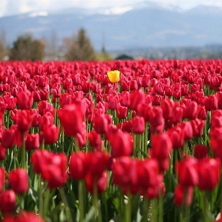 Red Tulip Hotel Angeles Zewnętrze zdjęcie
